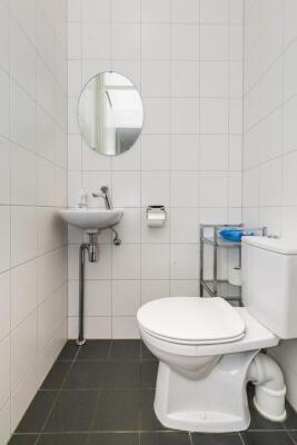 Steentijdsingel Image 9