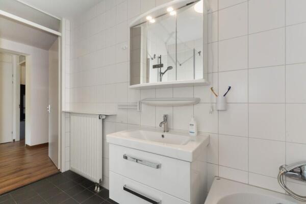 Steentijdsingel Image 14