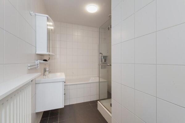 Steentijdsingel Image 15