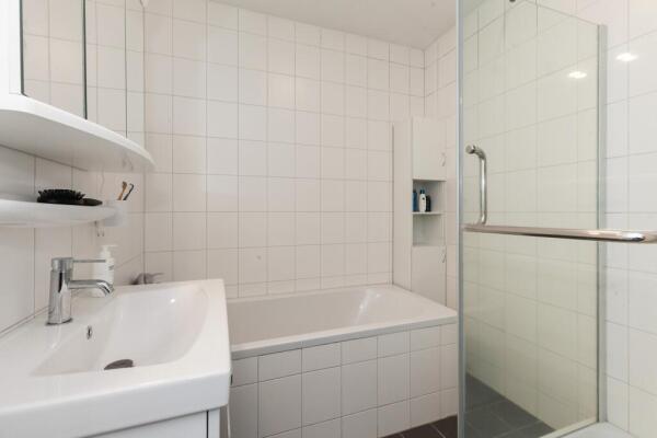 Steentijdsingel Image 16