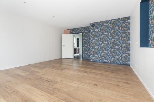 Oranjeveld Image 16
