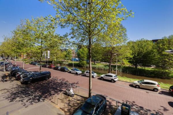 Steentijdsingel Image 31