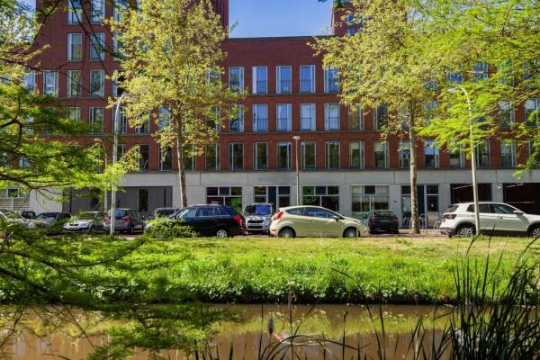 Steentijdsingel Image 32