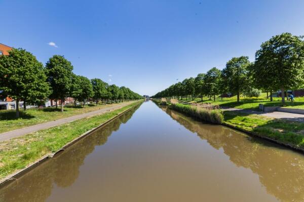 Steentijdsingel Image 34