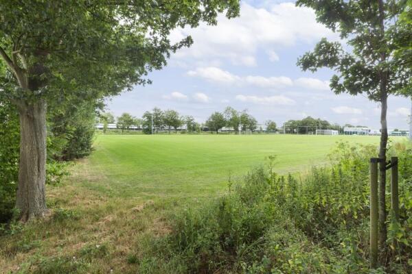 Oranjeveld Image 52