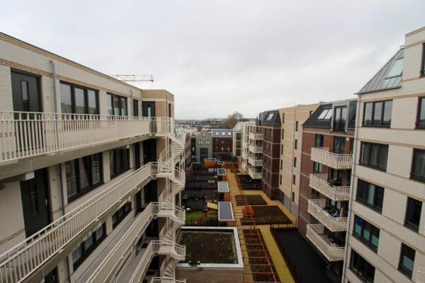 Westerdijk Image 10