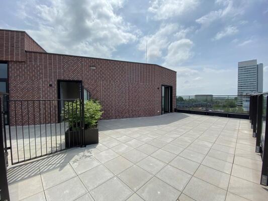 Hadidkade 226 Image 15