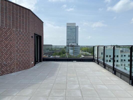 Hadidkade 226 Image 16