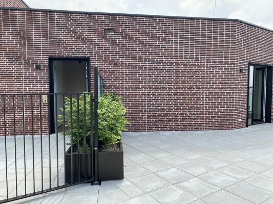 Hadidkade 226 Image 17