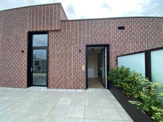 Hadidkade 226 Image 24