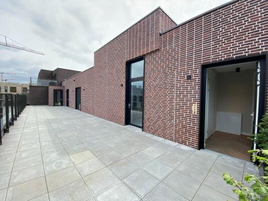 Hadidkade 226 Image 26