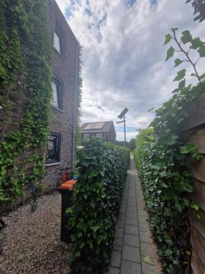 Klokbeker Image 18