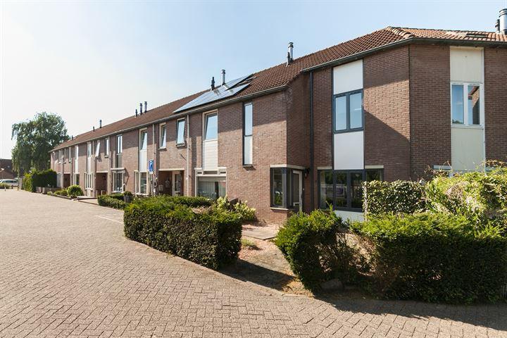 De Griffioen