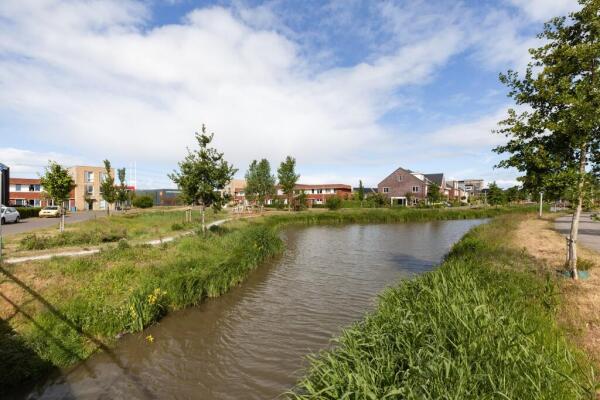 Goudappel Image 37
