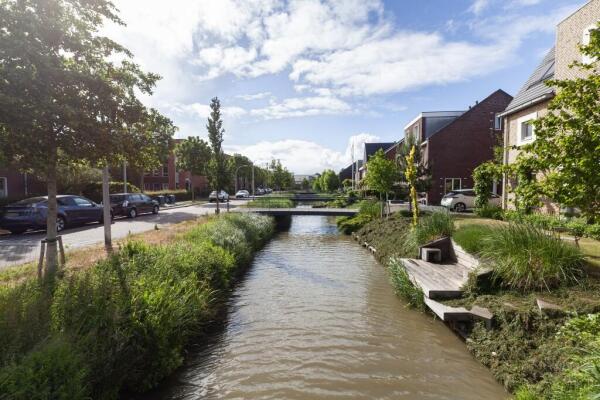 Goudappel Image 39