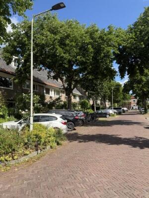 Beeldhouwerstraat Image 16