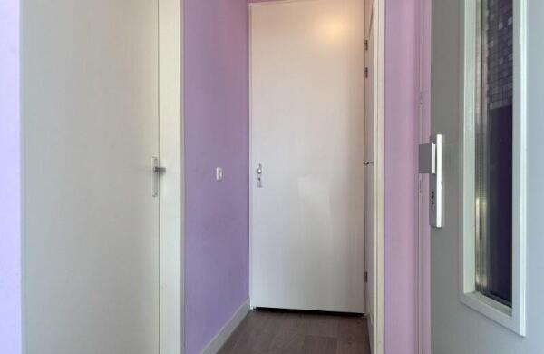 Regenboogven  Image 0
