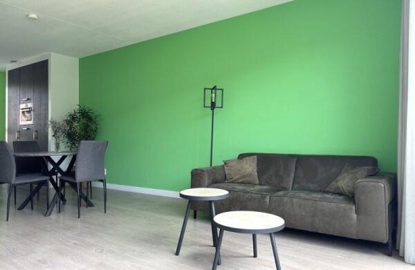 Regenboogven  Image 6