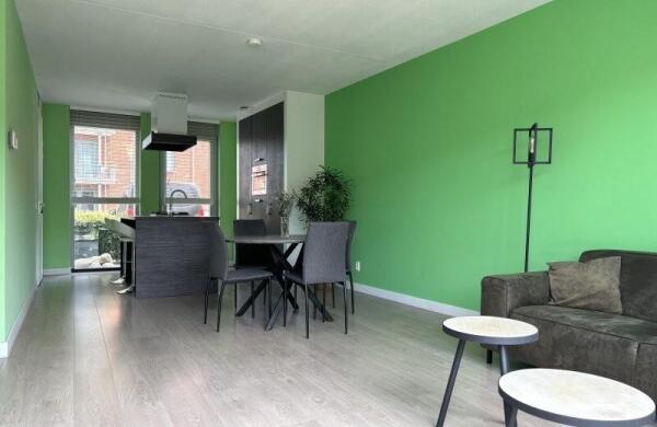 Regenboogven  Image 7