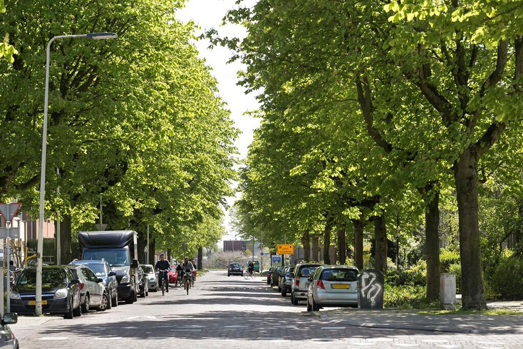 Van Oldenbarneveldtstraat