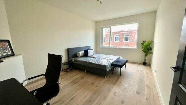 Anton de Haenstraat Image 6
