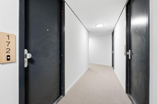 Hadidkade 170 Image 14