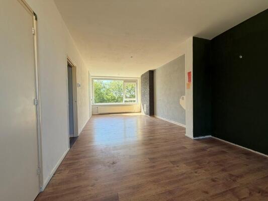Spinozaweg 251 Image 3