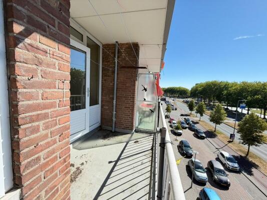 Spinozaweg 251 Image 16