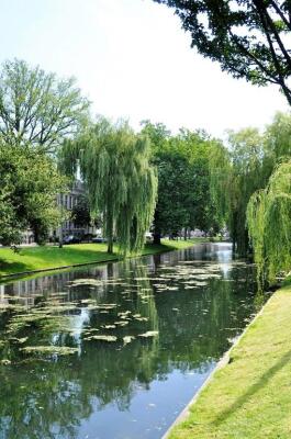 Noordsingel 48 Image 8