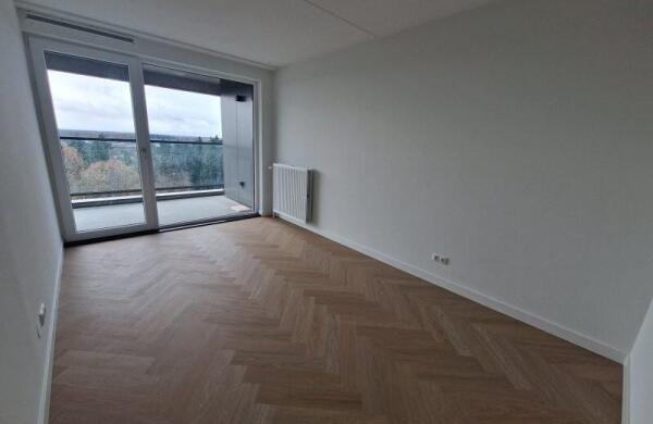 Meerring  Image 11