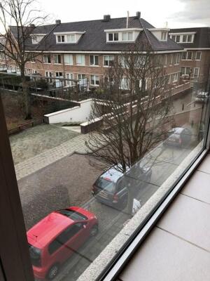 Van Halewijnlaan Image 12