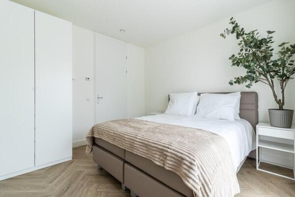 Burnhamstraat 174 Image 13