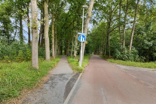 Treek 10 Image 45