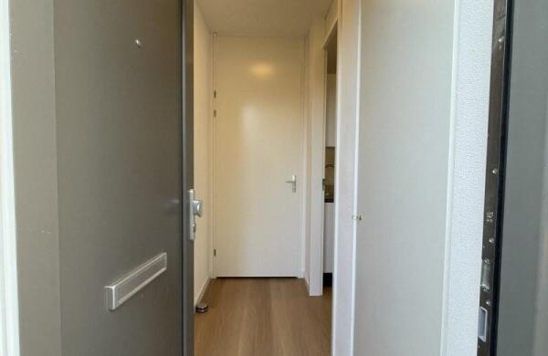 Kneppelhoutstraat  Image 6