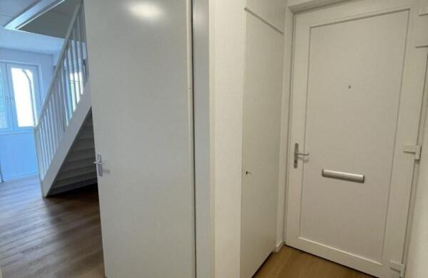 Kneppelhoutstraat  Image 7