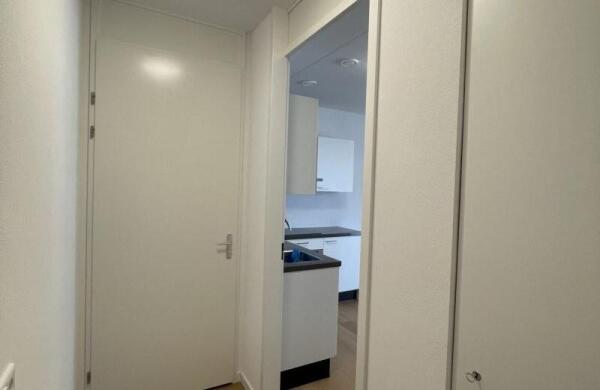Kneppelhoutstraat  Image 9