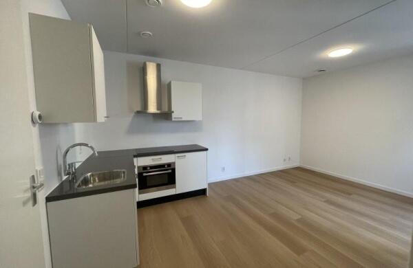 Kneppelhoutstraat  Image 10