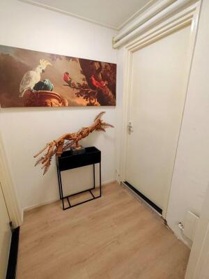 Nuinhofstraat 17a Image 2