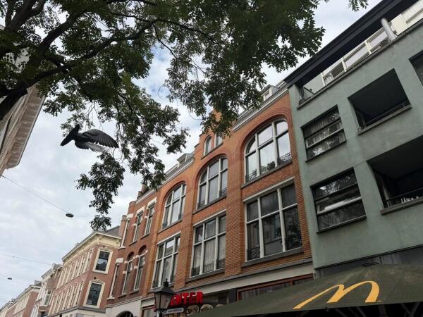 free-sector-houses for rent on Oude Binnenweg 101B-03
