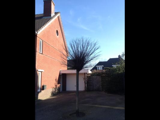 Leusveldweide 14 Image 18