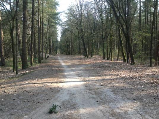Leusveldweide 14 Image 27