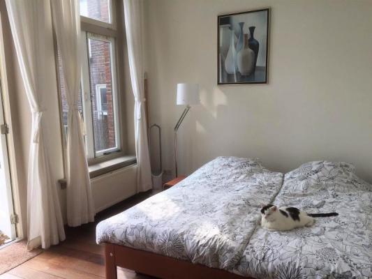 Oudegracht 137 Image 8